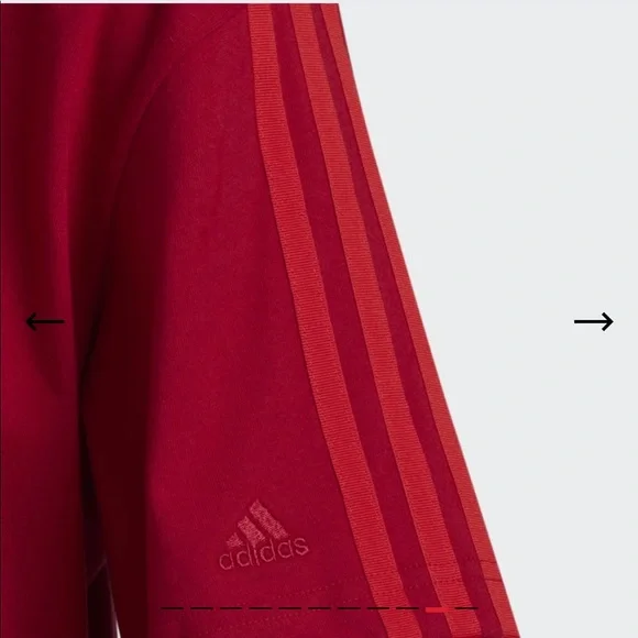 adidas IVY PARK Collection- GRAPHIC CROP TEE - Picture 2 of 10